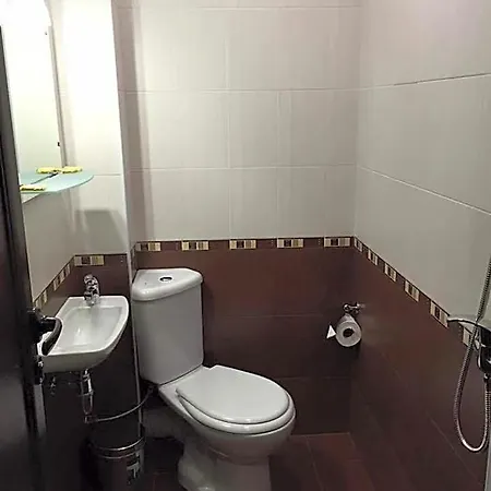 Hotel семеен гингеръ Pamporovo