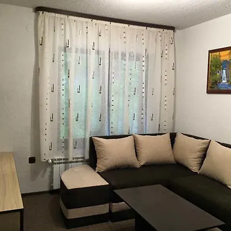 酒店 семеен гингеръ *