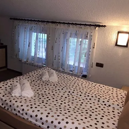 семеен гингеръ Hotel