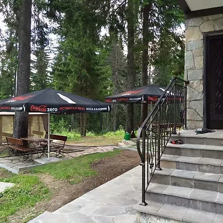 семеен гингеръ * 潘波洛沃