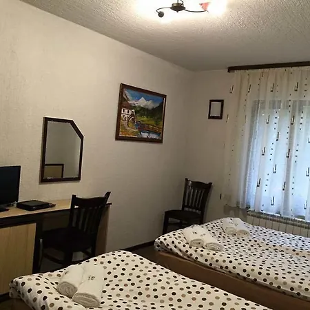 酒店 семеен гингеръ *