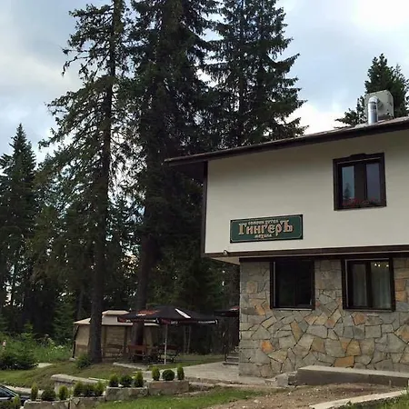 семеен гингеръ