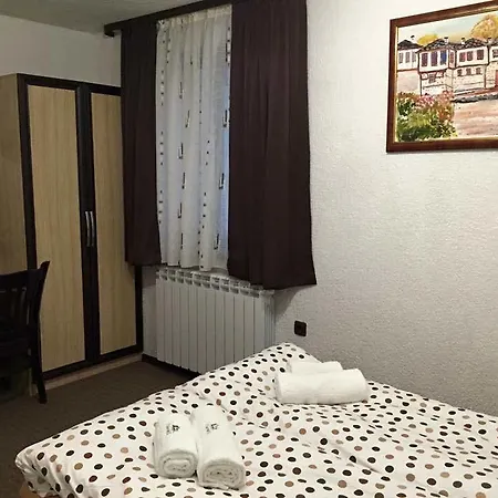 семеен гингеръ *