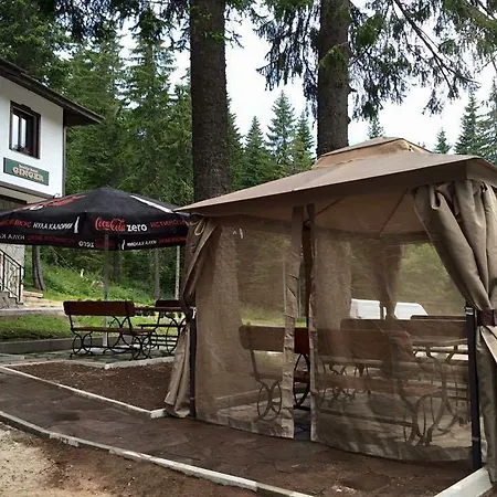 酒店 семеен гингеръ