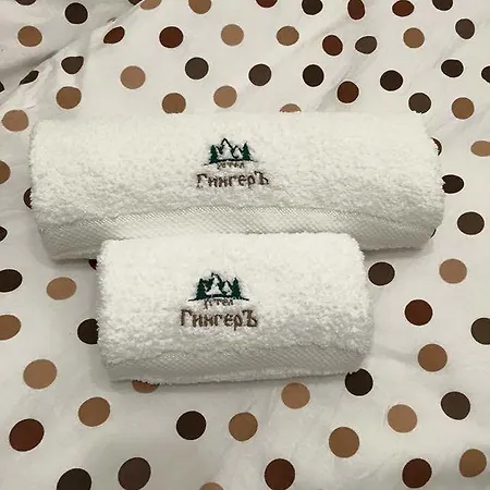 酒店 семеен гингеръ *