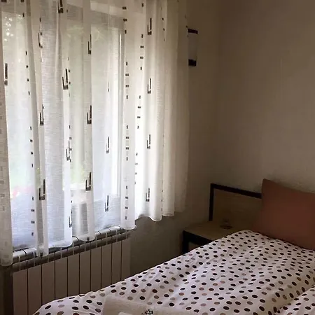 семеен гингеръ