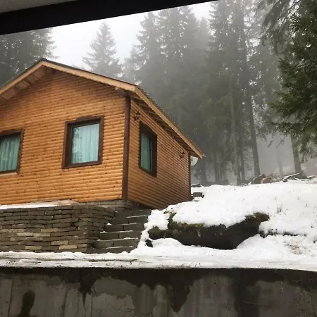 酒店 семеен гингеръ