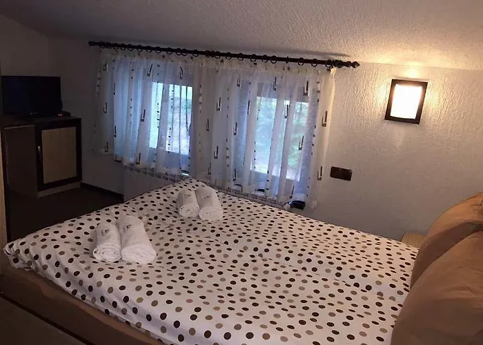 семеен гингеръ Hotel