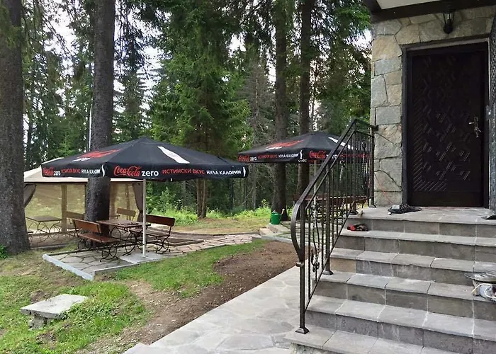 семеен гингеръ * Pamporovo