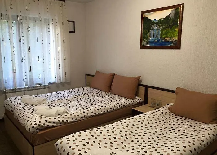 Hotel семеен гингеръ Pamporovo